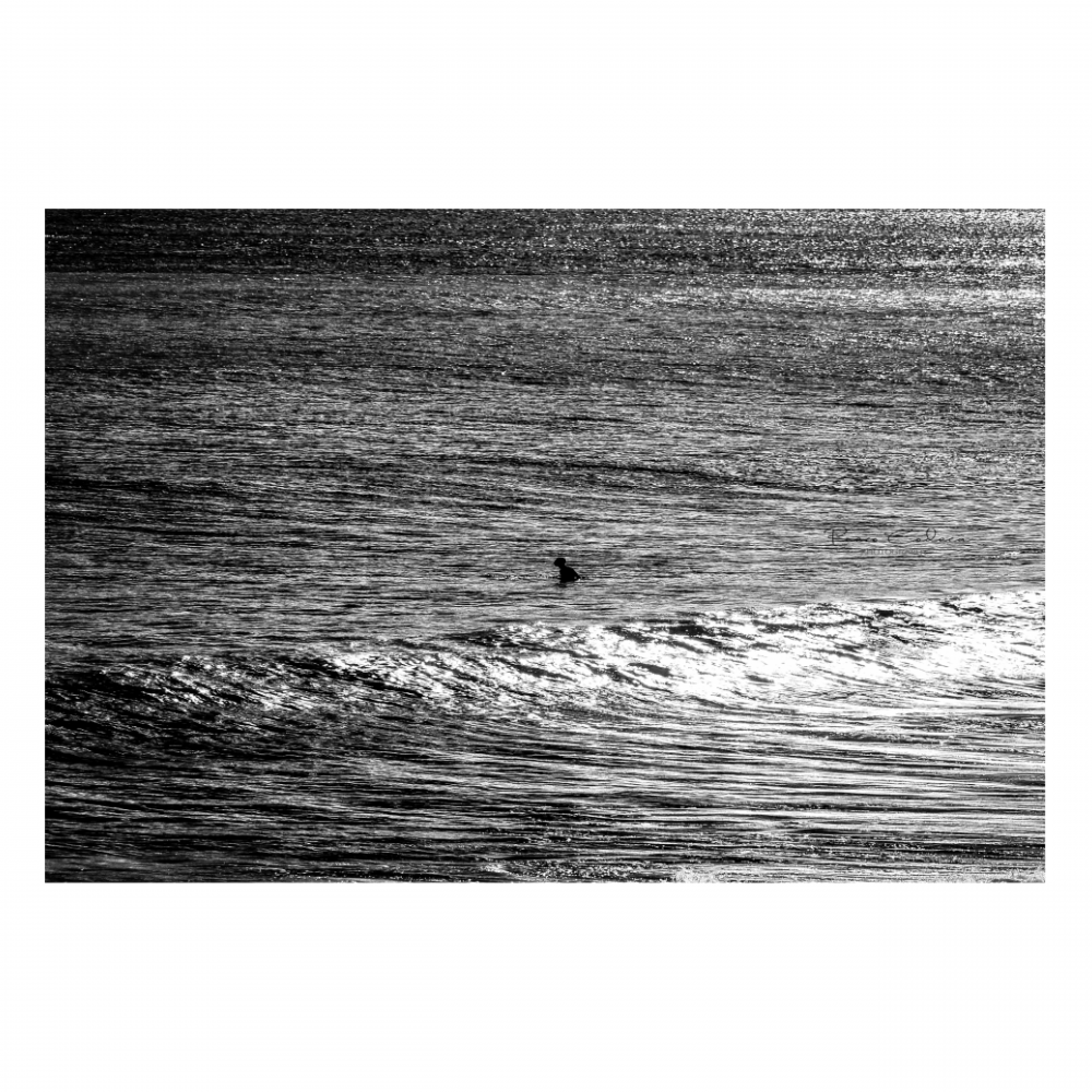 Surf life (B)