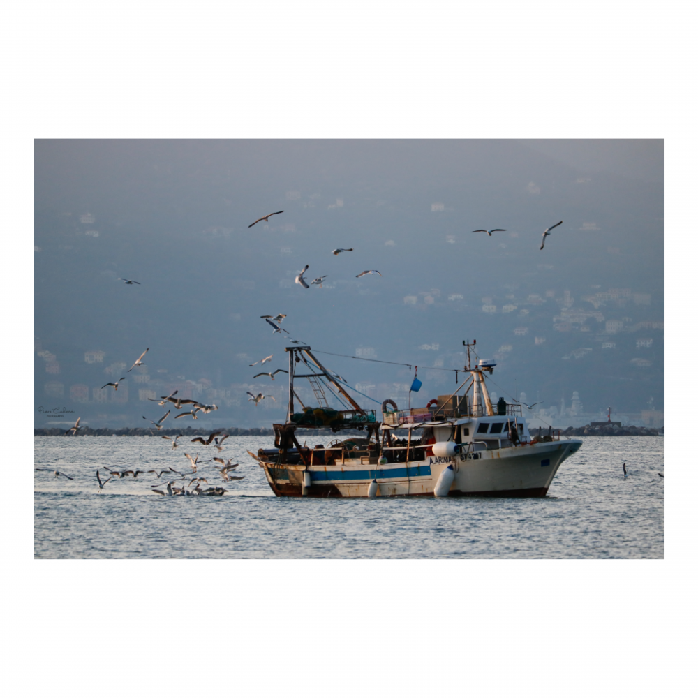 Il peschereccio e i gabbiani (Croazia)