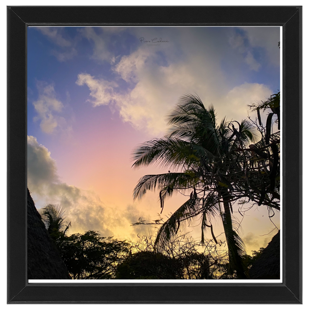 Palm sunrise (Zanzibar)