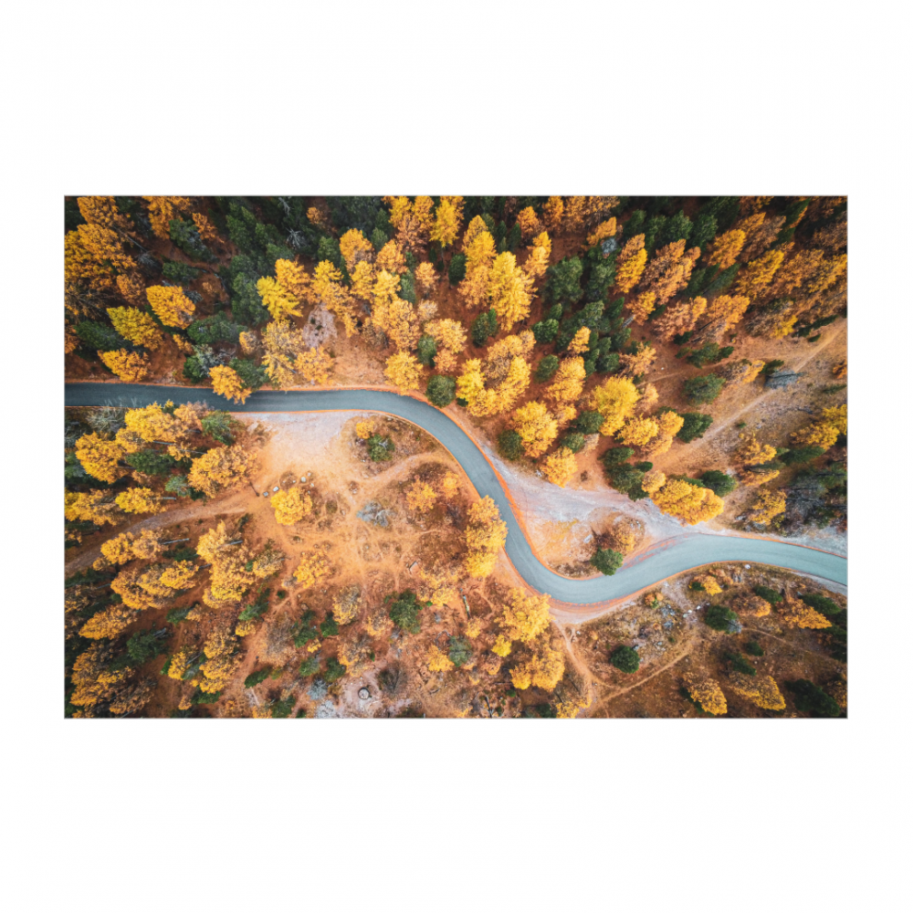 Autumn from above (French Alps)