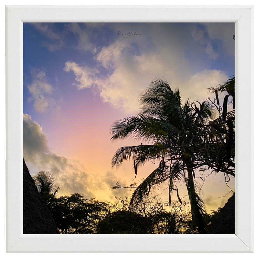 Palm sunrise (Zanzibar)