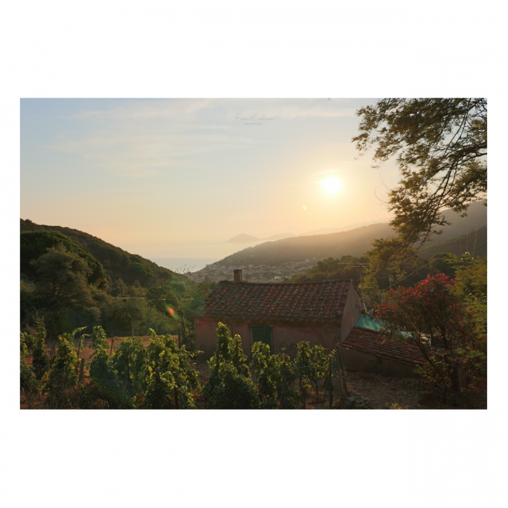 Prime luci del mattino (Isola d'Elba)